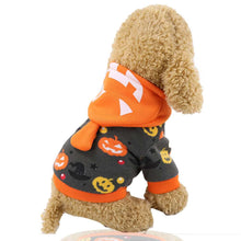 Pumpkin Lantern Pet Costume - Glowing Halloween Dog Outfit - Purrfect Pet Haven