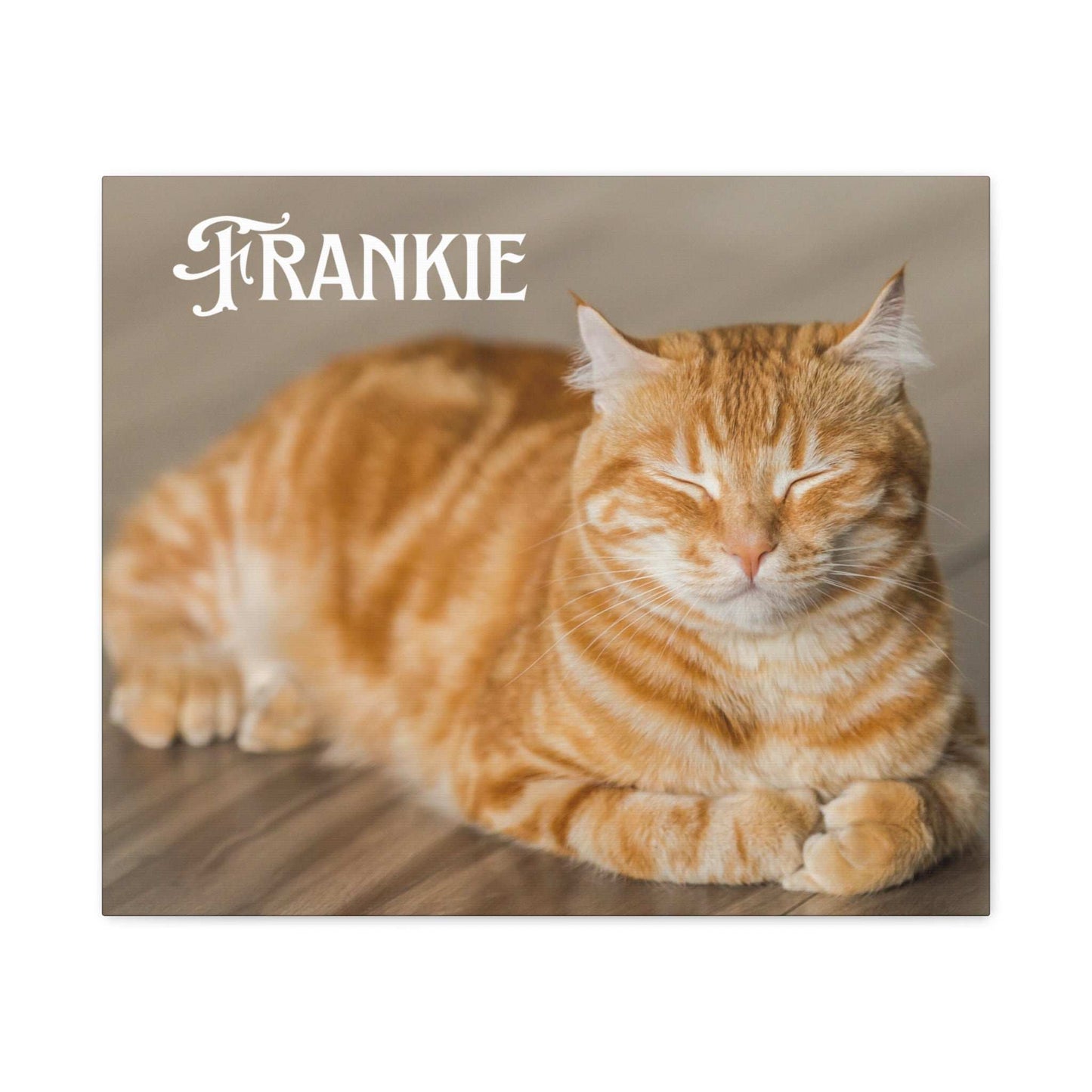 Personalized Landscape Photo Canvas Wall Art - Stretch Framed Print for Pet Lovers - Purrfect Pet Haven