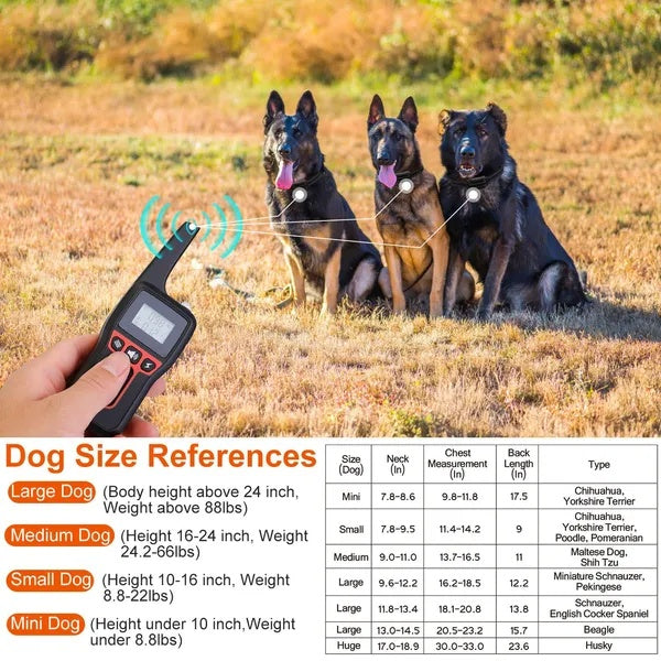 Pro Range Trainer - 3280FT Waterproof Dog Training Collar - Purrfect Pet Haven