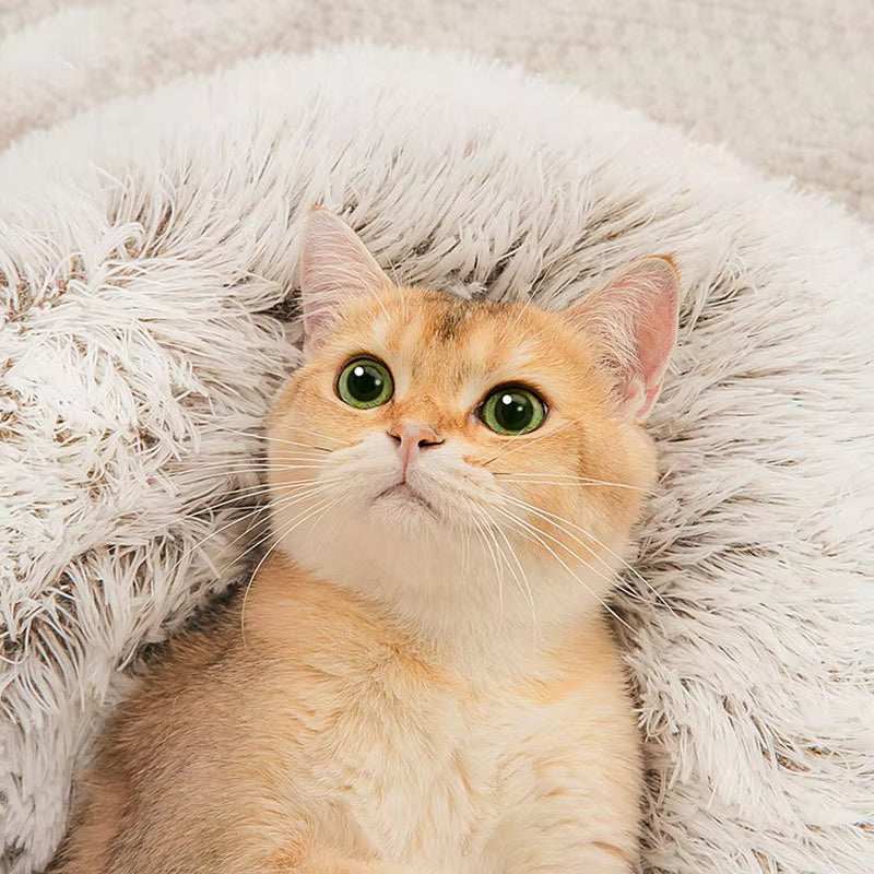 Winter Plush Cat Bed - Round Warm Nest - Purrfect Pet Haven