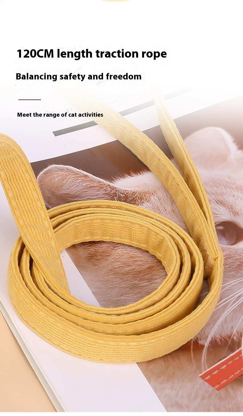 Fun "Cute Bee" Small Pet Harness & Matching Lead - Purrfect Pet Haven