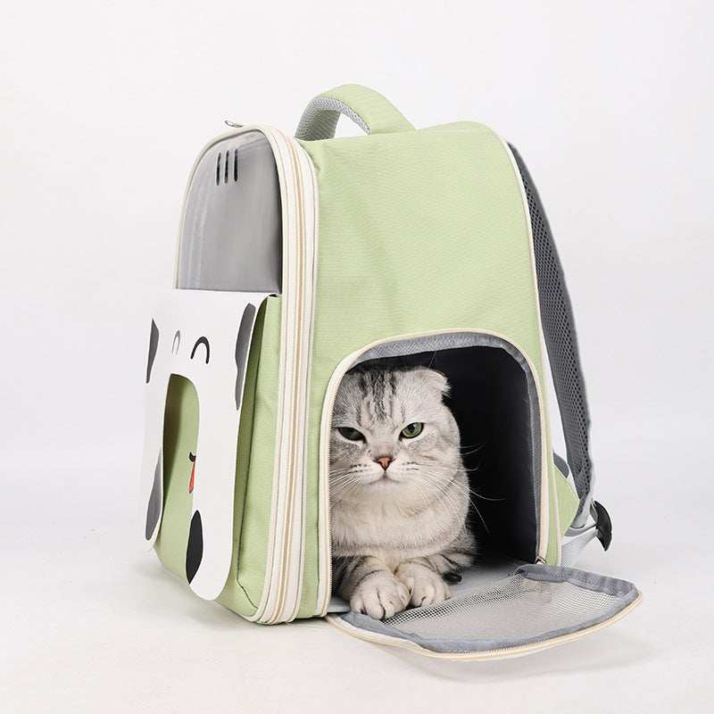 Cat in a green pet carrier with a cartoon design on a white background