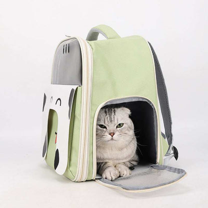 Cat in a green pet carrier with a cartoon design on a white background