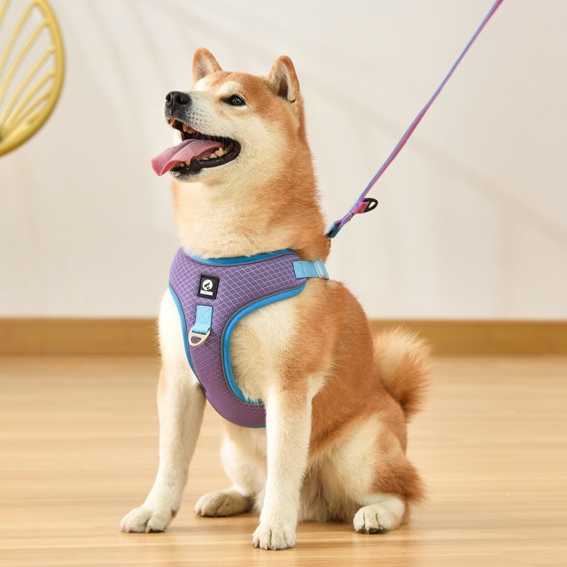 Reflective Mesh Harness - Breathable Dog Safety Vest - Purrfect Pet Haven
