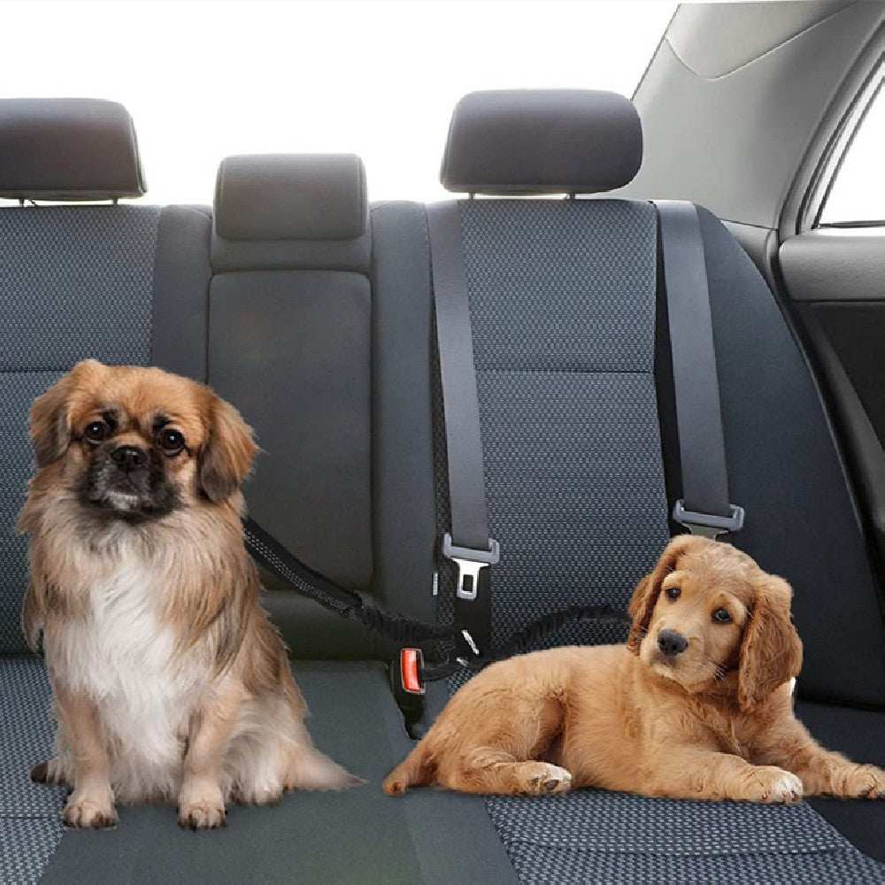 Double-ended Traction Rope Pet Car Seat Belt - Secure Two Pets - Purrfect Pet Haven