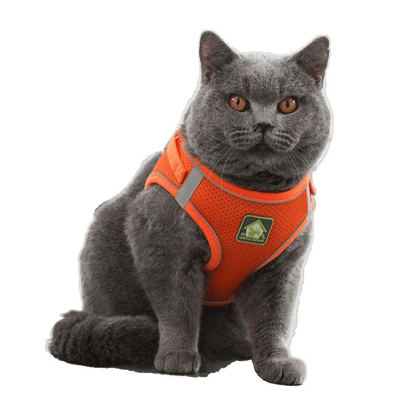 Anti-Escape Cat Vest - Breathable Walking Harness - Purrfect Pet Haven
