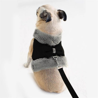 Bow Tie Puppy Harness - Warm Padded Dog Leash Set - Purrfect Pet Haven
