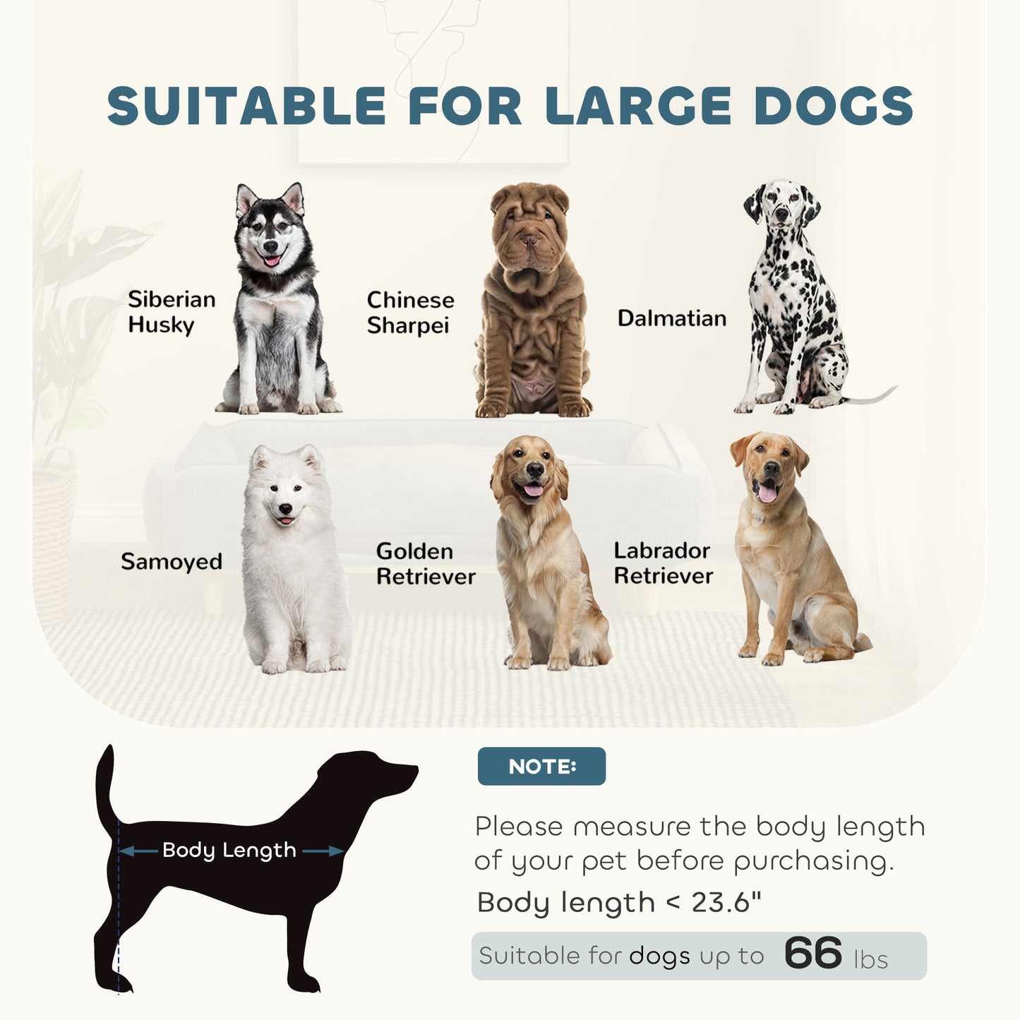 Dog Couch - Raised Elevated Bed for Large Dogs - Purrfect Pet Haven
