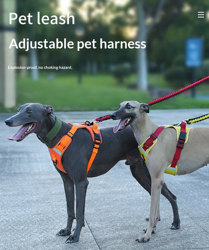 Dog Harness - Large Chest Style with Leash - Purrfect Pet Haven