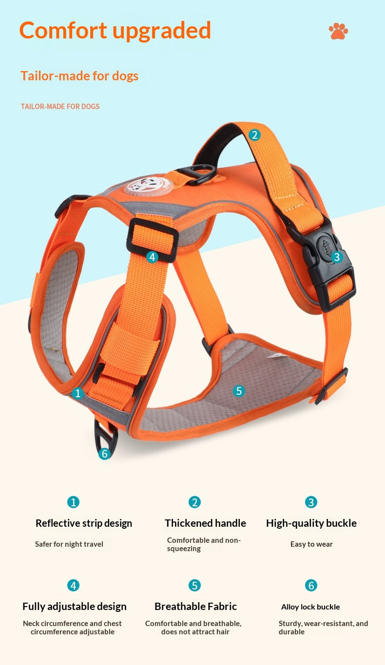 Dog Harness - Large Chest Style with Leash - Purrfect Pet Haven
