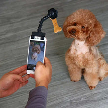 Pet Selfie Stick - Mobile Phone Camera Holder for Dogs & Cats - Purrfect Pet Haven
