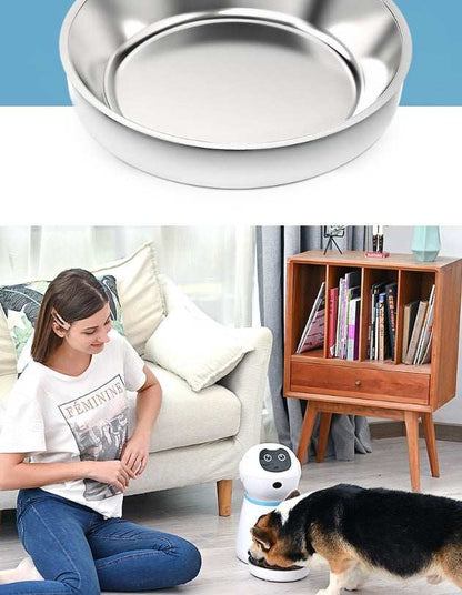 Stainless steel bowl with a woman and dog in a living room setting.