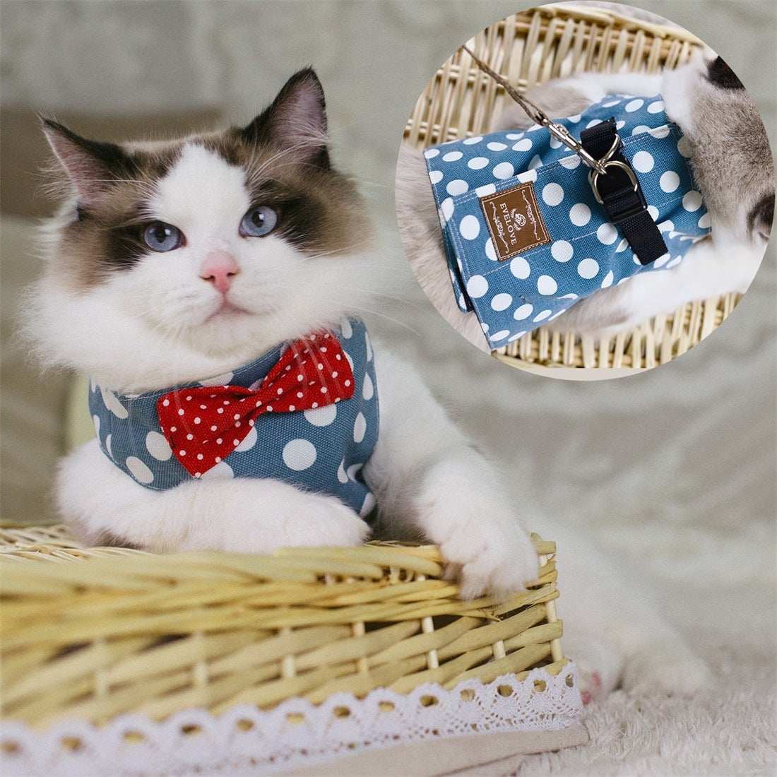 Rope Cat Traction Cat Chest Strap Set Bow - Purrfect Pet Haven