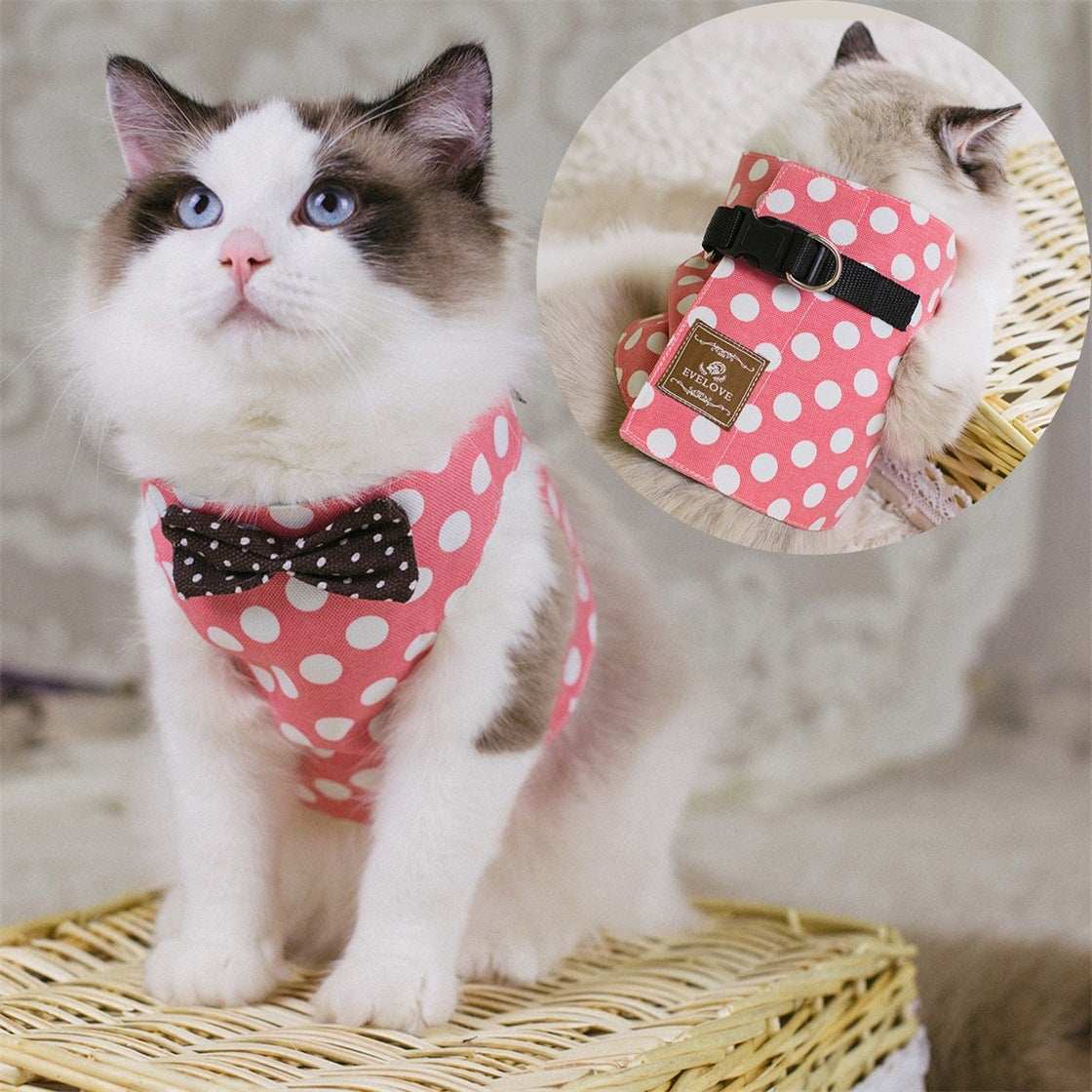 Rope Cat Traction Cat Chest Strap Set Bow - Purrfect Pet Haven