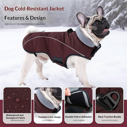 Winter Dog Jacket - Thickened Double-Layer Insulated Vest - Purrfect Pet Haven
