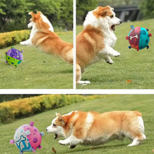 Dog Soccer Ball - Interactive Tug Toy with Straps - Purrfect Pet Haven