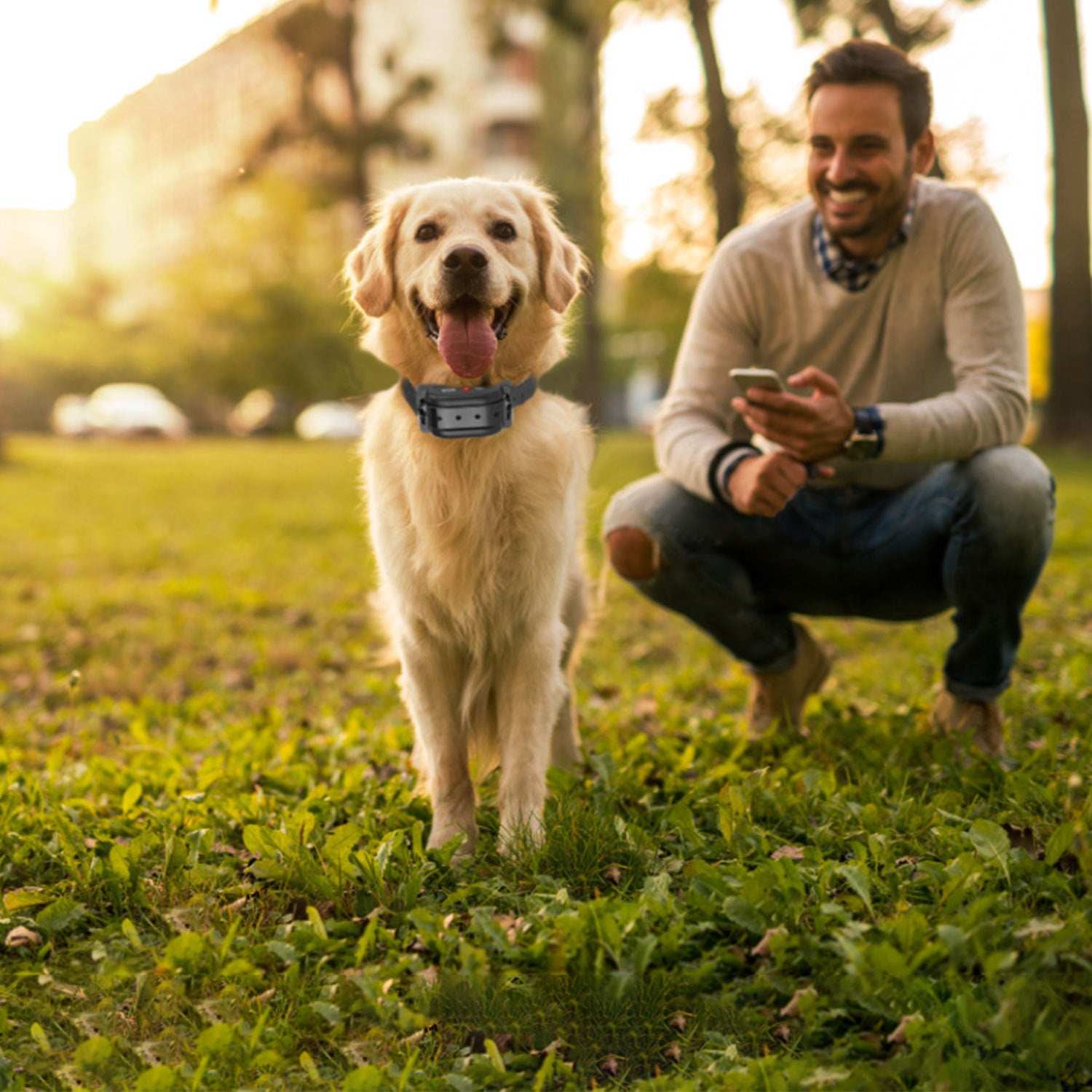 Wireless Dog Fence System - 328FT GPS - Purrfect Pet Haven
