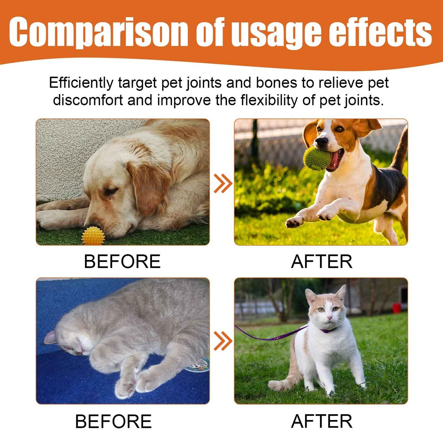 Pet Bee Joint Oil For Dogs & Cats, Joint Support Supplement Oil Relief Joint Discomfort, Improve Mobility & Repair Joint Tissue, 30ml