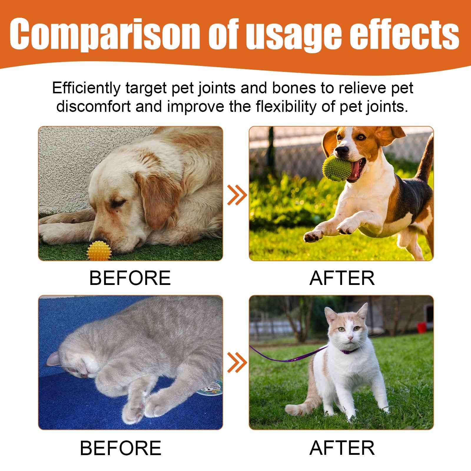 Pet Bee Joint Oil For Dogs & Cats, Joint Support Supplement Oil Relief Joint Discomfort, Improve Mobility & Repair Joint Tissue, 30ml