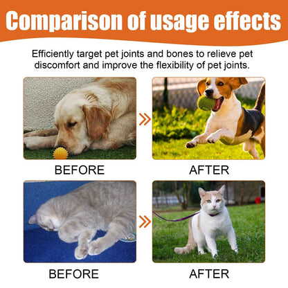 Pet Bee Joint Oil For Dogs & Cats, Joint Support Supplement Oil Relief Joint Discomfort, Improve Mobility & Repair Joint Tissue, 30ml