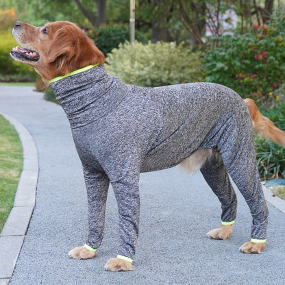 Border Collie And Golden Retriever Large Dog Four-legged Coat That Doesnt Attract Fur
