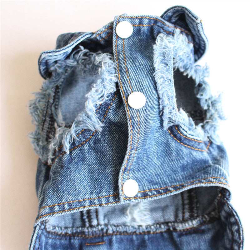 Ripped Fringe Denim Jacket - Full Size Pet Clothes - Purrfect Pet Haven