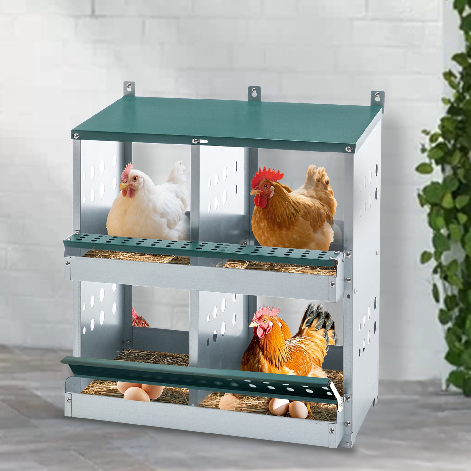 4-Compartment Metal Chicken Nesting Box - Wall Mount - Purrfect Pet Haven