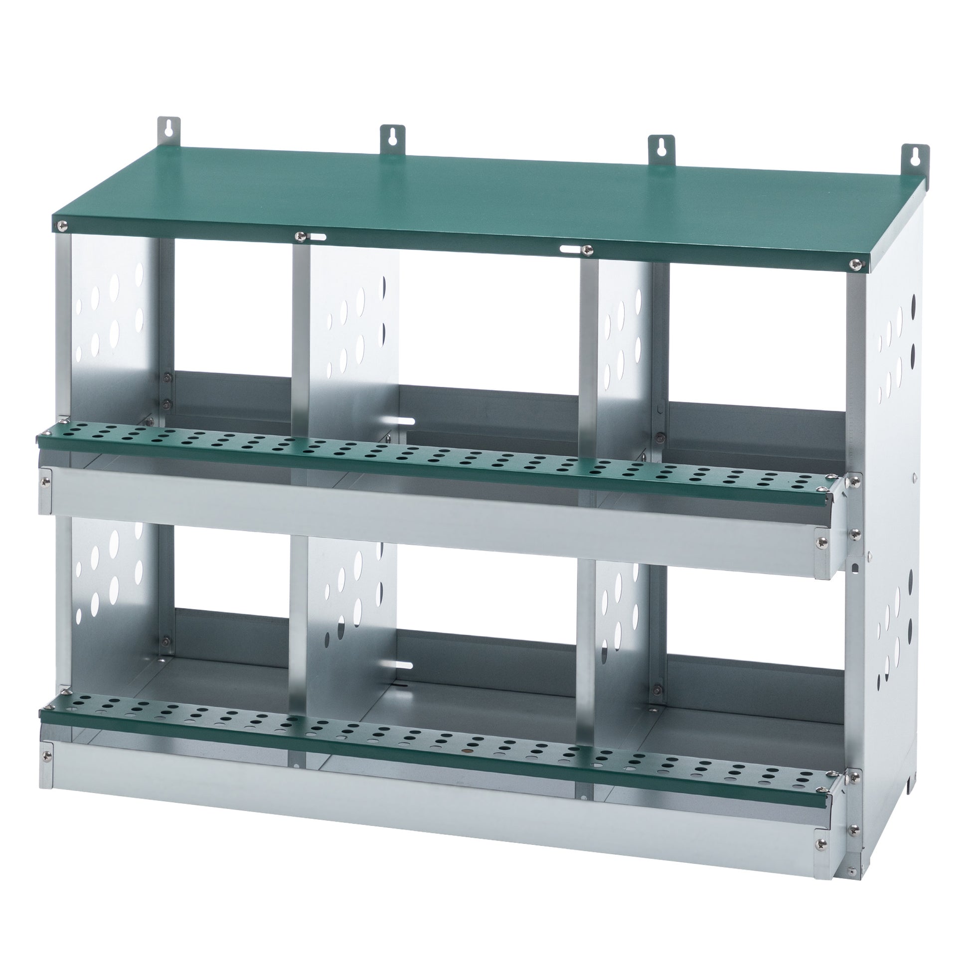 6-Compartment Chicken Nesting Box - Roll-Away Egg Collection - Purrfect Pet Haven