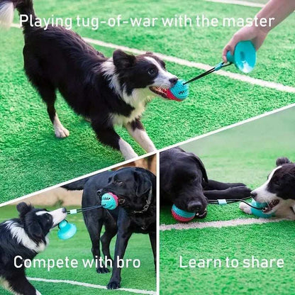 Interactive Suction Cup Tug Toy - Treat Dispensing Chew Toy for Aggressive Chewers - Purrfect Pet Haven