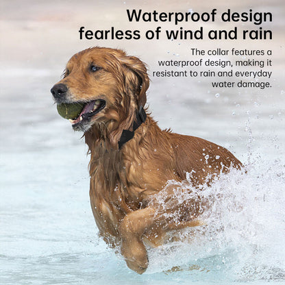 Pet GPS Tracker Collar - Apple Find My No Subscription
