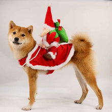 Dog Santa Riding Christmas Costume - Holiday Dog Outfit