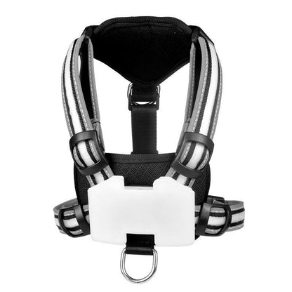 Night Dog Walking Vest Large Medium and Small Explosion proof Flushing Dog Strap LED Luminous Chest Strap