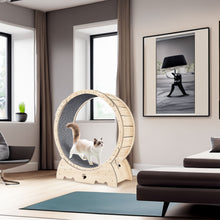 Indoor Cat Exercise Wheel - Carpeted Runway 37"