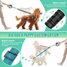 Shock Absorbing Retractable Leash for Two Dogs - Maintain Control - Purrfect Pet Haven
