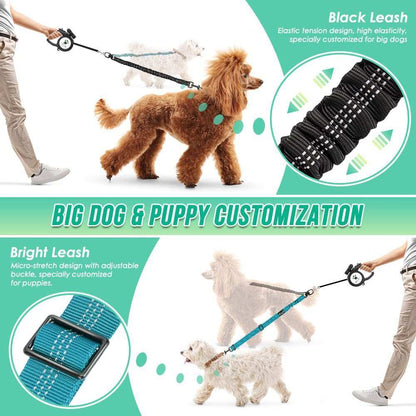 Shock Absorbing Retractable Leash for Two Dogs - Maintain Control - Purrfect Pet Haven