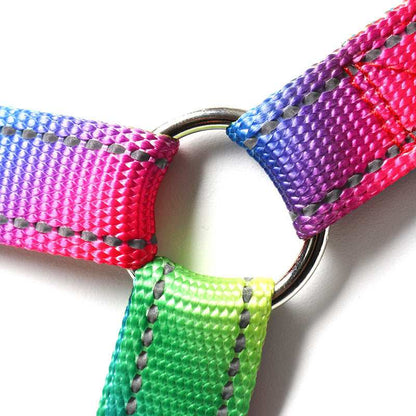 Creative Color Dog Leash Pet Vest Harness - Purrfect Pet Haven