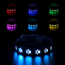 LED Dog Collar - 7 Color Luminous Paw Print USB Rechargeable - Purrfect Pet Haven