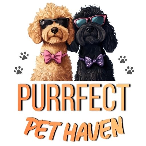 Purrfect Pet Haven