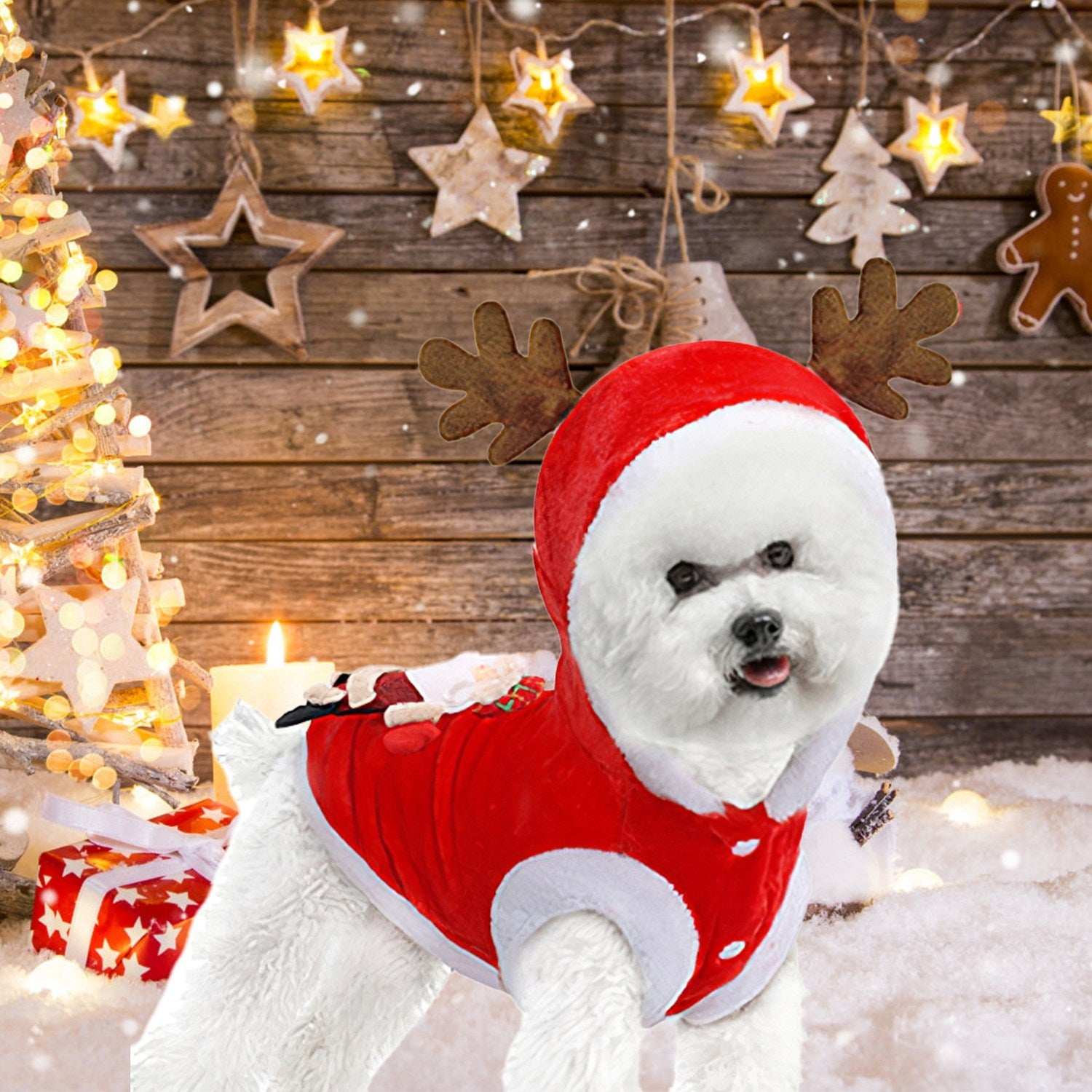 Christmas Santa Reindeer Pet Outfit - 3D Antlers - Purrfect Pet Haven