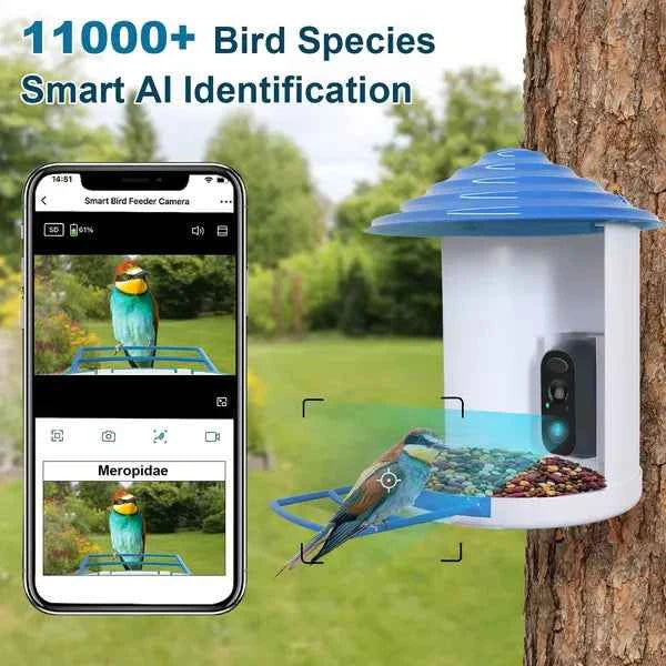 Smart Bird Feeder With Solar Powered Camera - 1080P HD AI Identify