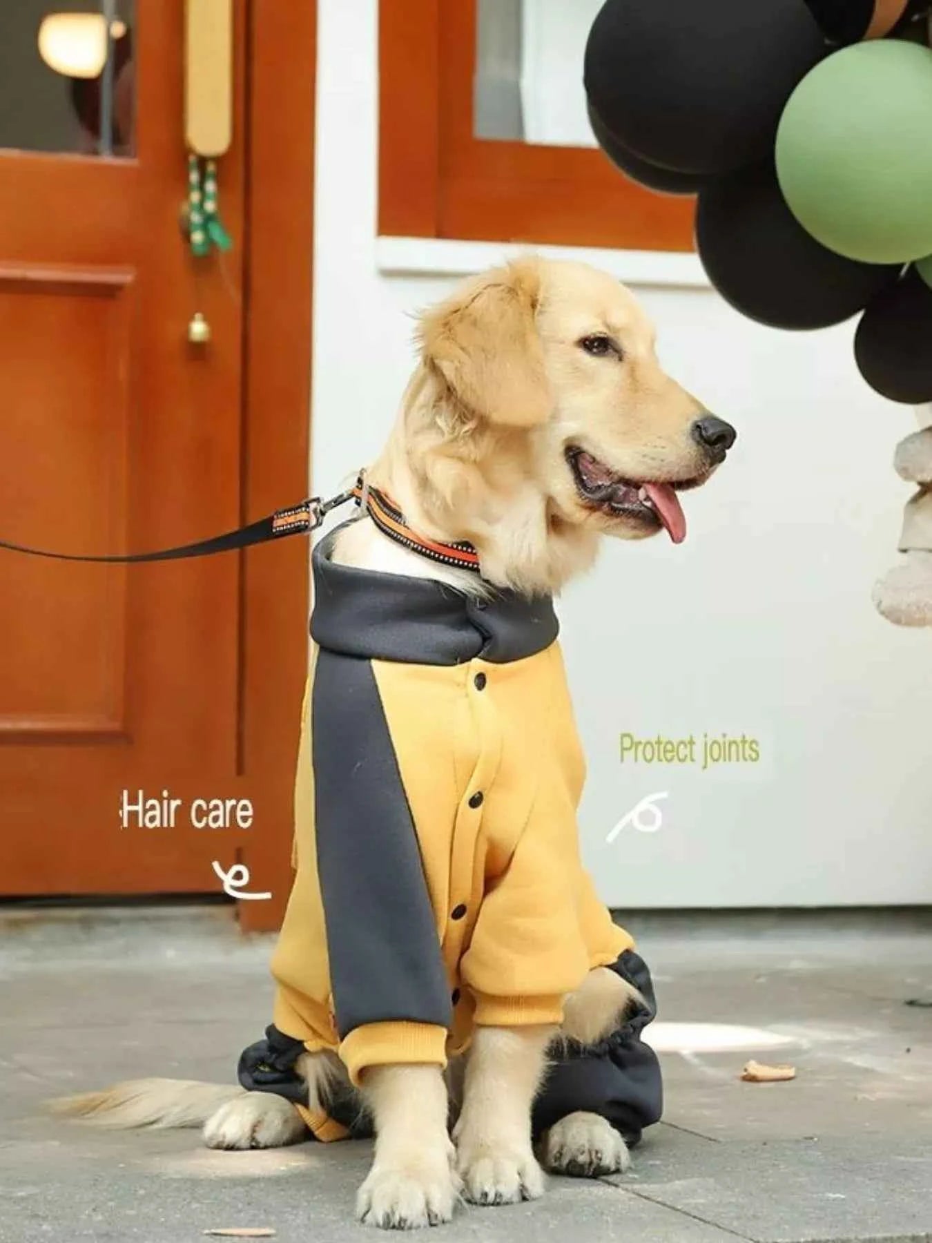 Two-Tone Dog Jacket