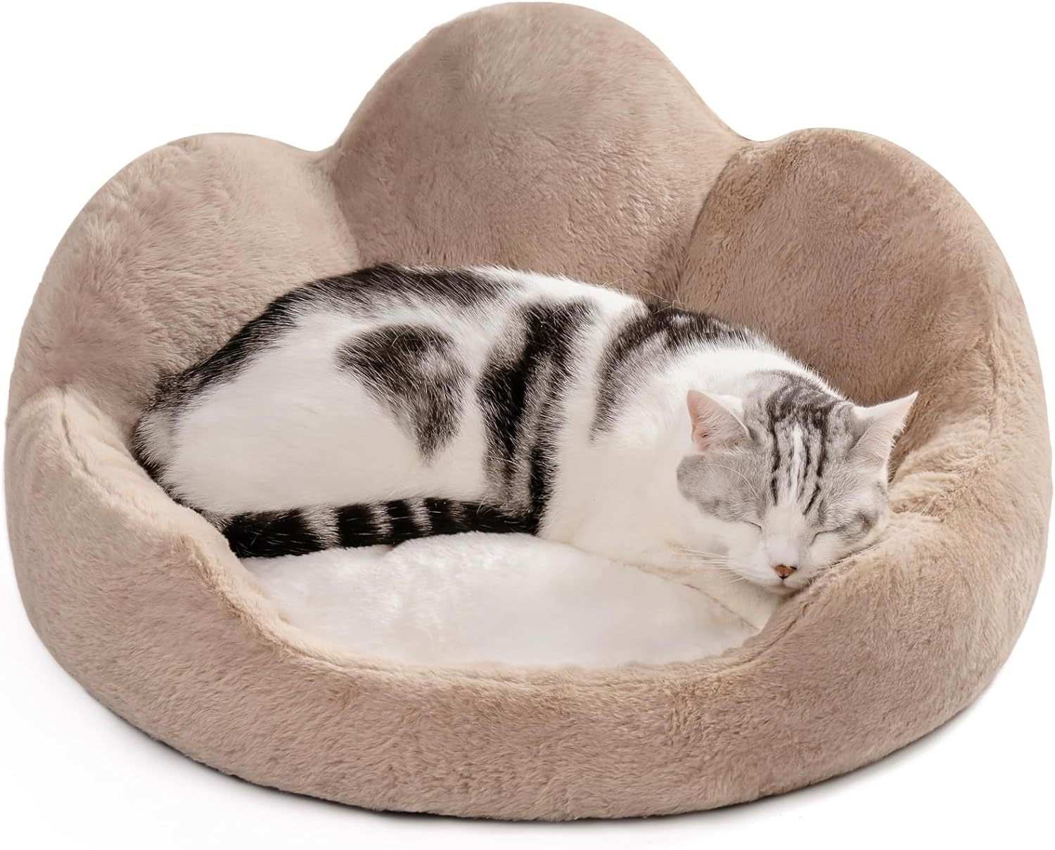 Cozy Khaki Flower Pet Bed - Washable - Purrfect Pet Haven