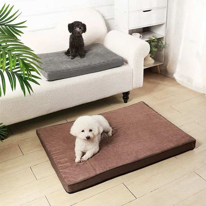 Memory Foam Pet Bed Mat with Removable Cover for Cleaning - Small to X-Large - Purrfect Pet Haven