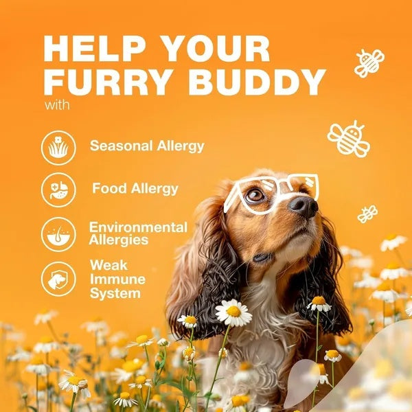 Dog Allergy Relief Chews - Itch Support - Purrfect Pet Haven