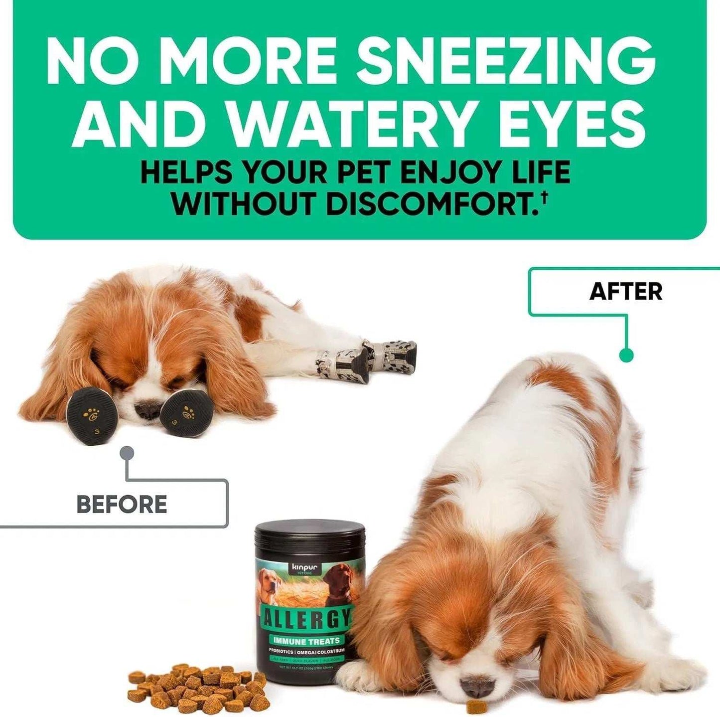 Natural Dog Allergy Chews For Dog Itch Tasty Allergy Relief Pet Supplement For Dry Itchy Skin Hot Spots Seasonal Dog Allergies 180 Anti Itch Immune Treats For Dogs Licking Paws Antihistamine - Purrfect Pet Haven