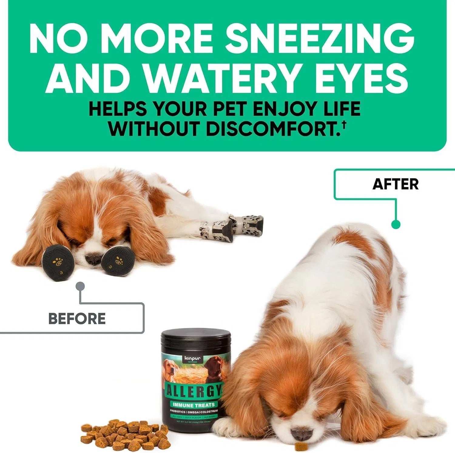 Natural Dog Allergy Chews For Dog Itch Tasty Allergy Relief Pet Supplement For Dry Itchy Skin Hot Spots Seasonal Dog Allergies 180 Anti Itch Immune Treats For Dogs Licking Paws Antihistamine - Purrfect Pet Haven