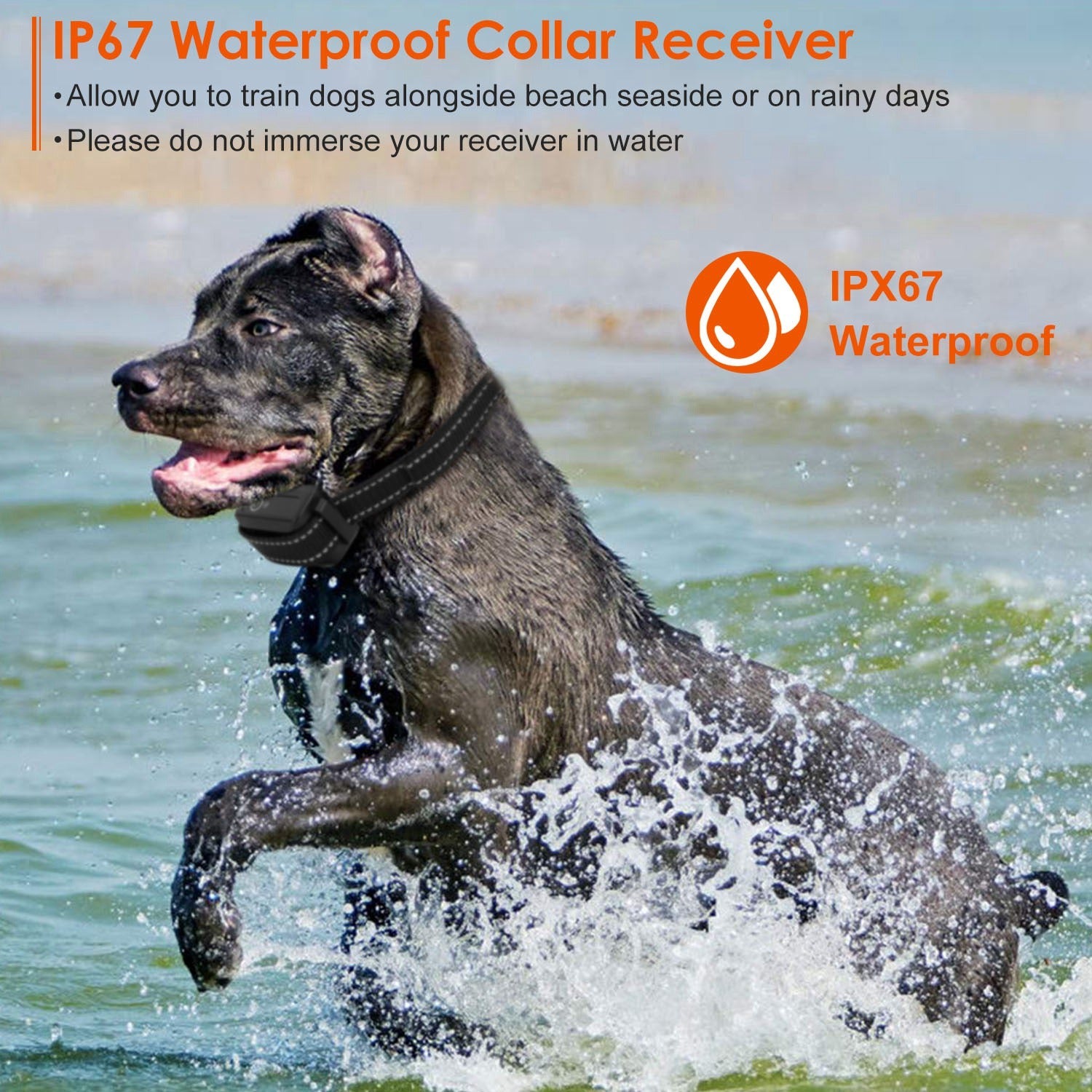 Dog Training Collar - 3280ft Range IP67 Waterproof 3 Modes - Purrfect Pet Haven