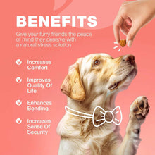 Dog Flea And Tick Treatment Chews FleaTick Prevention For Dogs Chewables Natural Dog Flea & Tick Control Soft Treats Immune Support Supplement CANNOT Be Listed For Sale On Amazon - Purrfect Pet Haven