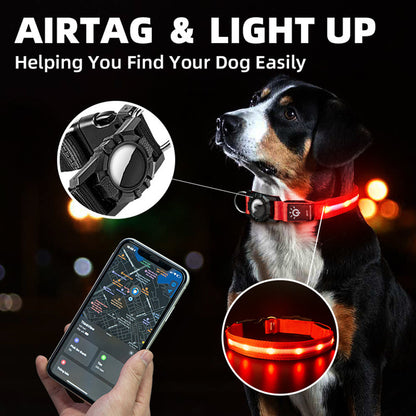 LED Waterproof Pet Collar - Safety Light Up Dog Collar - Purrfect Pet Haven