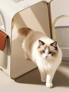 Portable Breathable Pet Carrier Backpack